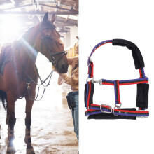 Licol en nylon pour cheval, taille moyenne, 1,1–1,3 m (3,6–4,3 ft), à mousqueton