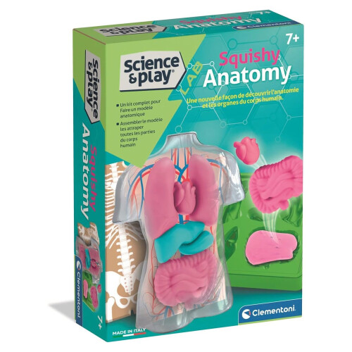 Clementoni Clementoni Science & Play Lab: Squishy Anatomy STEM Set Age 7+