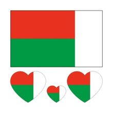 10pcs Madagascar Flag Temporary Tattoo Stickers Waterproof Durable SkinFriendly 6x6cm