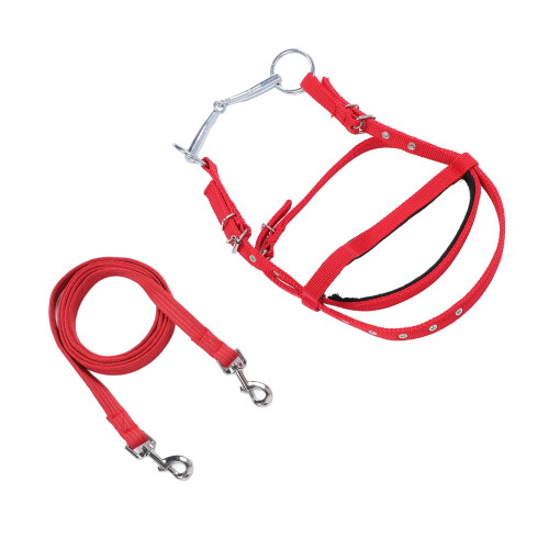 Modelo brida de nylon para caballo S roja para ponis