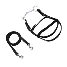 Rênes de bride en nylon pour cheval et frontal réglable noir 1,3 m + L Équestre