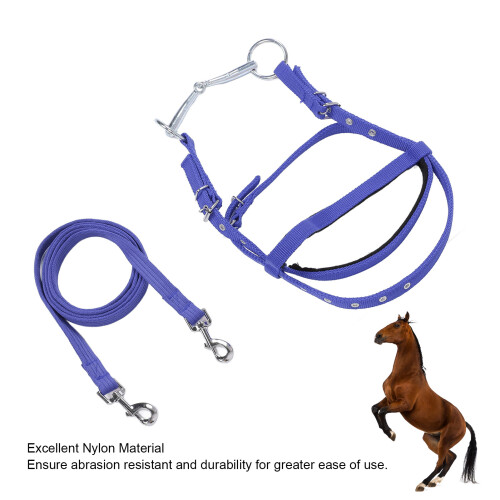 Brida de nylon para caballo azul S ajustable 2