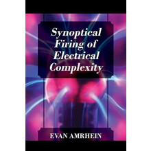 Synoptical Firing of Electrical Complexity by Evan Amrhein Paperback B