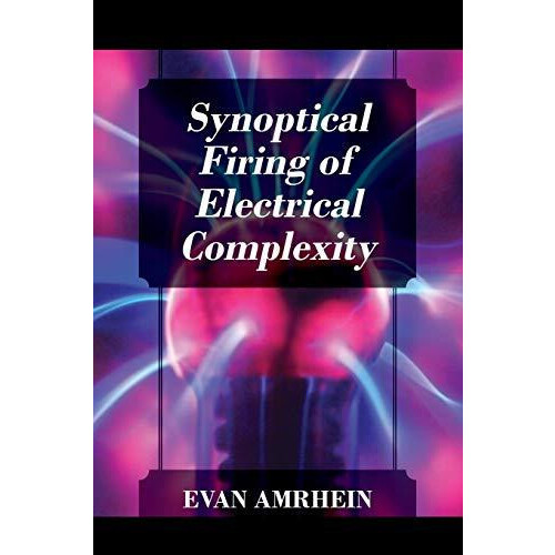 Synoptical Firing of Electrical Complexity by Evan Amrhein Paperback B