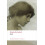 Ruth by Elizabeth Gaskell Paperback Book 1