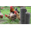 180 m Hexagonal mesh Chicken fence Rabbit wire Rabbit lattice Hare wire 100 cm 4