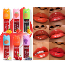 Lip Gloss and Liquid Lipstick Set 6 PCS Waterproof Long Lasting Matte Pearlescent Moisturizing