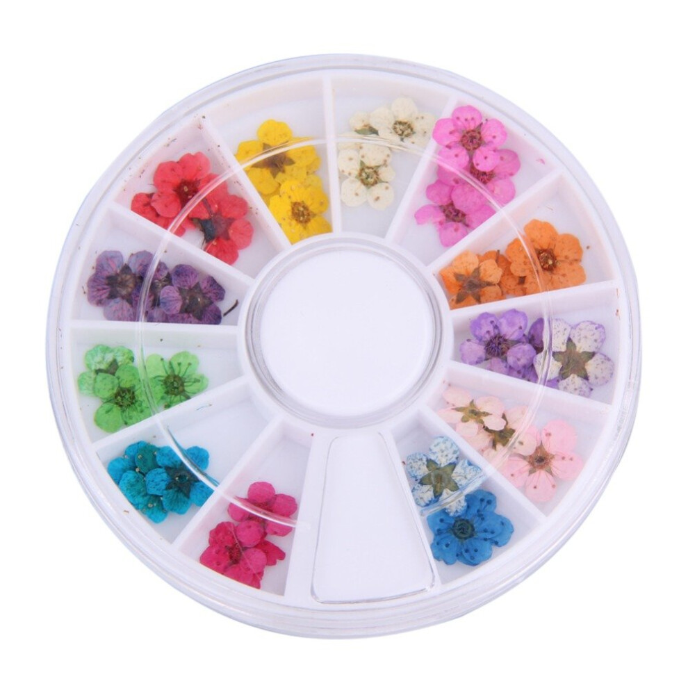 Dried Flower Nail Art Wheel 36pcs 12 Color DIY Nail Art Decorations for Manicure