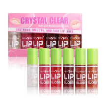 6 Colors Hydrating Lip Oil and Vegan Lip Gloss, Plumping Deep Hydration, Smooth Shine