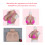 Mastectomy Prosthetic Chest C Cup Color 1 7