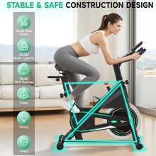 Upgraded Exercise Bike for Home Use with LCD Display & Tablet Holder, Silent 0-100% Level Resistance Indoor Cycling Bike, Professional Stationary