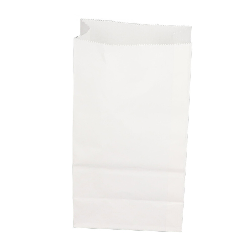100 Pcs Large Paper Bags Food Grade Kraft