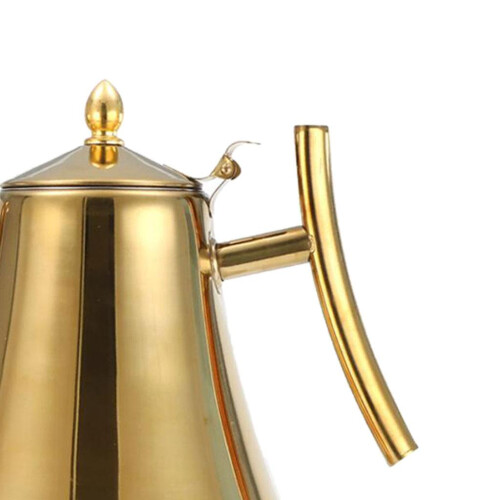 Coffee Kettle Pour Over Coffee Hand Drip Pot Stainless with Infuser 1. 2