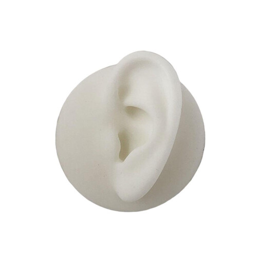 Soft Silicone Ear Model Body Part for Practicing Ear Studs Display  Le