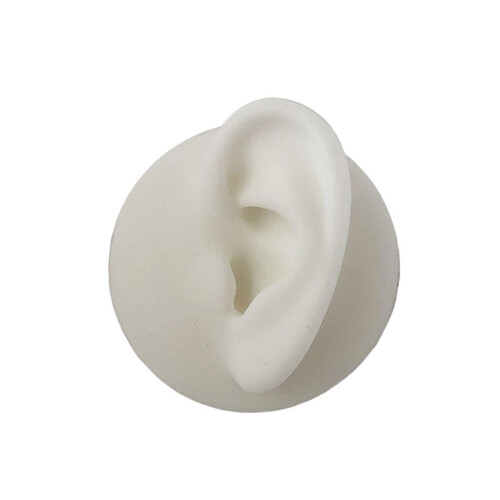 Soft Silicone Ear Model Body Part for Practicing Ear Studs Display  Le 1