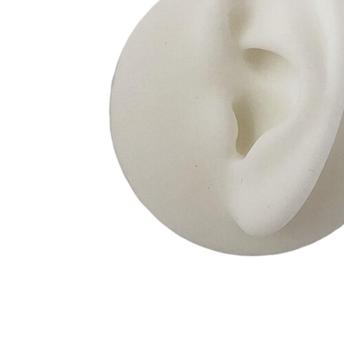 Soft Silicone Ear Model Body Part for Practicing Ear Studs Display  Le 2