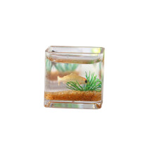1:12 Miniature Dollhouse Fish Tank with Fish Dollhouse Decoration Squa