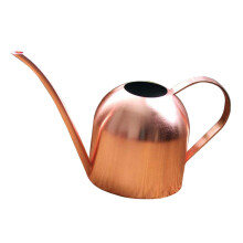 1L Watering Can Long Spout Bonsai Succulents Watering Pot Garden Rose
