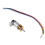 DC 12V Micro Gear Motor Electric Speed Reduction Motor Gearbox Coder 3 1