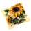 1 Set Pillows Latch Hook Kits Material Package for Beginners Sunflower 1