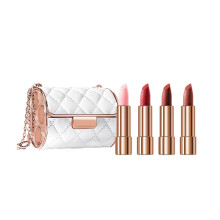 Velvet Matte Lipstick Set with Chain Bag, Waterproof Long Lasting Formula, 4 Colors Gift