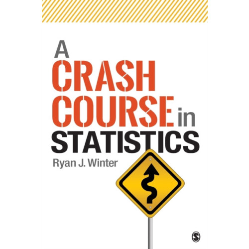 A Crash Course in Statistics by Ryan J. Winter Paperback Book