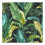 ENVY Envy Leaf It Out Wallpaper | Midnight 1
