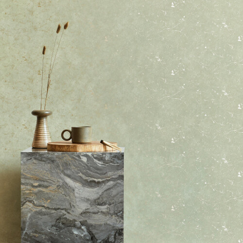 Superfresco Easy Superfresco Easy Gilded Plaster Sage Silver Textured Wallpaper