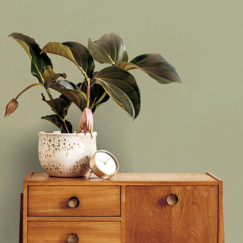 Superfresco Easy Superfresco Easy Amour Sage Texture Wallpaper 2