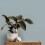 Superfresco Easy Superfresco Easy Amour Aqua Texture Wallpaper 4