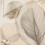Superfresco Easy Superfresco Easy Arlington Parchment Wallpaper 3