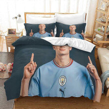 (180x220, 25) 2025 Newest Bedding Set, Football Club Print Duvet Cover Set, Soft Microfiber