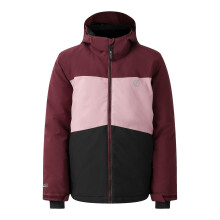 (3-4 Years, Fig) Dare 2B Childrens/Kids Send It! Ski Jacket