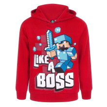 Minecraft Boys Like A Boss Hoodie