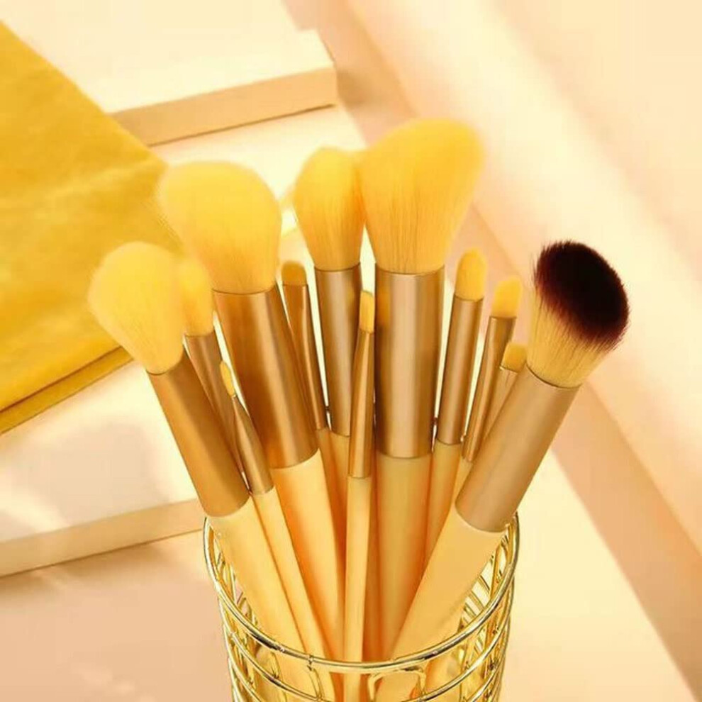 13 Piece Professional Makeup Brush Set with Soft Fluffy Synthetic Bristles for Foundation and Eyeshadow