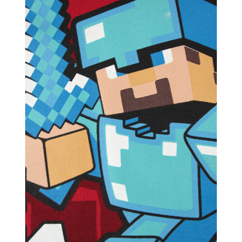 Minecraft Minecraft Hoodie (Boys Red) 1
