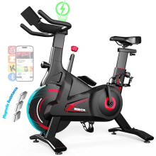 Exercise Bike for Home, Stationary Bike with Silent Magnetic Resistance, 300lbs Capacity, Stable Triangle Frame, Adjustable Resistance & Smart App