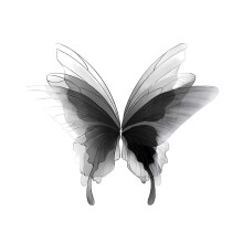 Realistic Butterfly Temporary Tattoo Stickers, Waterproof and Easy Water Transfer, 3 Sheets