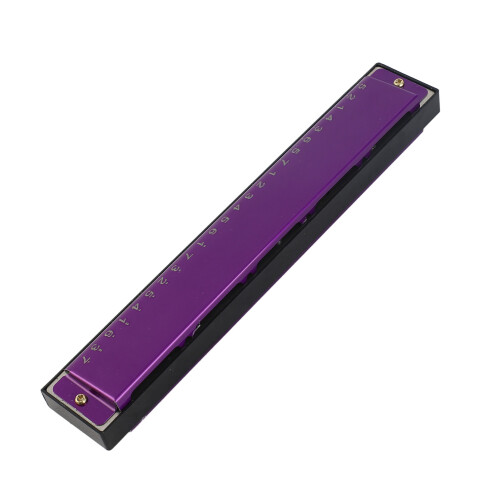 24-Hole C Key Harmonica for Beginners