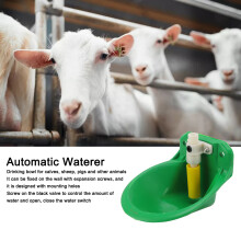 Farm Animal Water Bowl 1L Plastic