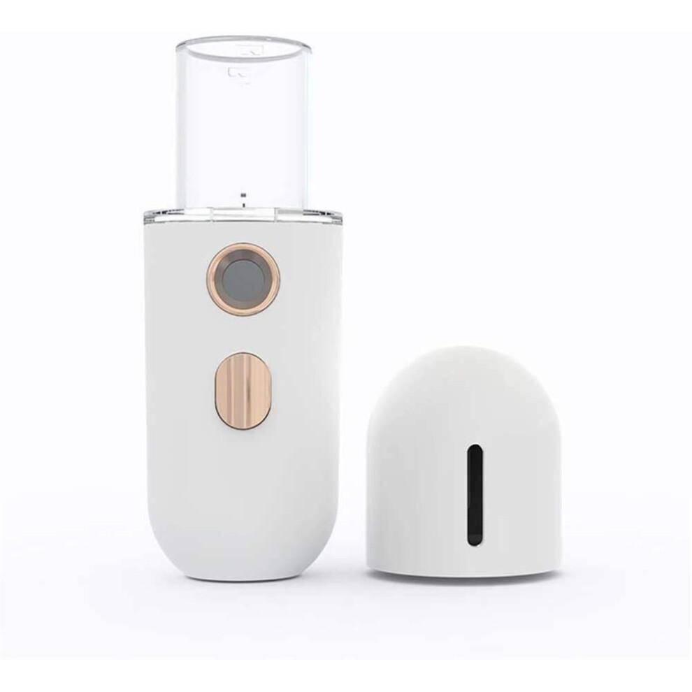 Facial Mister USB Rechargeable Portable Nano Mist Sprayer for Skin Hydration and Travel Use