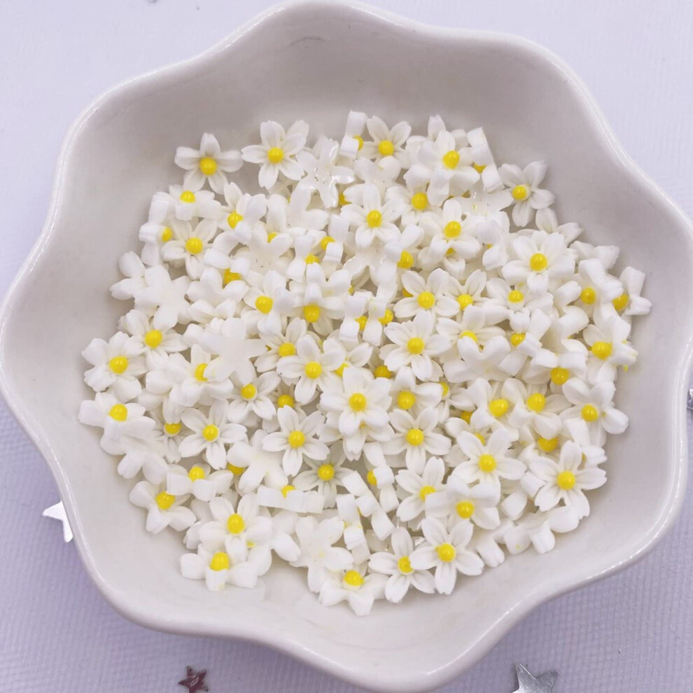 200Pcs Nail Art Rhinestones 3D Resin Flower Flatback Gems for Crafts Scrapbook Wedding Decor
