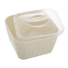 Hair Accessories Organizer Box for Desk, Hair Clip Storage, Compact Multipurpose Plastic Case