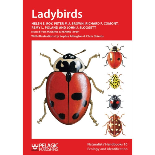 Ladybirds by Helen E. Roy Paperback Book