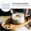 16Pcs Transparent Glass Dessert Cups 12Oz Oven Safe Ramekins Multi-Use 10