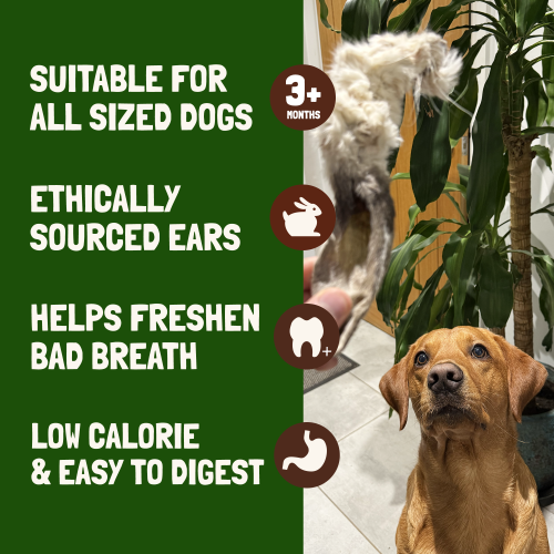 Rabbit Ears With Fur 1kg (60-70 Ears) 1