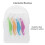 Interdental Brushes with Comfortable Bow Grip, Soft Disposable Tooth Picks for Precise Teeth Cleaning 3