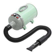 2200W Pet Hair Dryer for Dogs and Cats with Adjustable Speed and Temperature, 4 Nozzles, Green