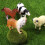 12Pcs Durable PVC Farm Animal Model Toy Educational Set 6