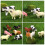 12Pcs Durable PVC Farm Animal Model Toy Educational Set 9